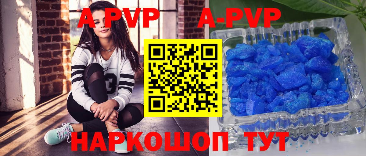 Альфа ПВП СК Новочеркасск
