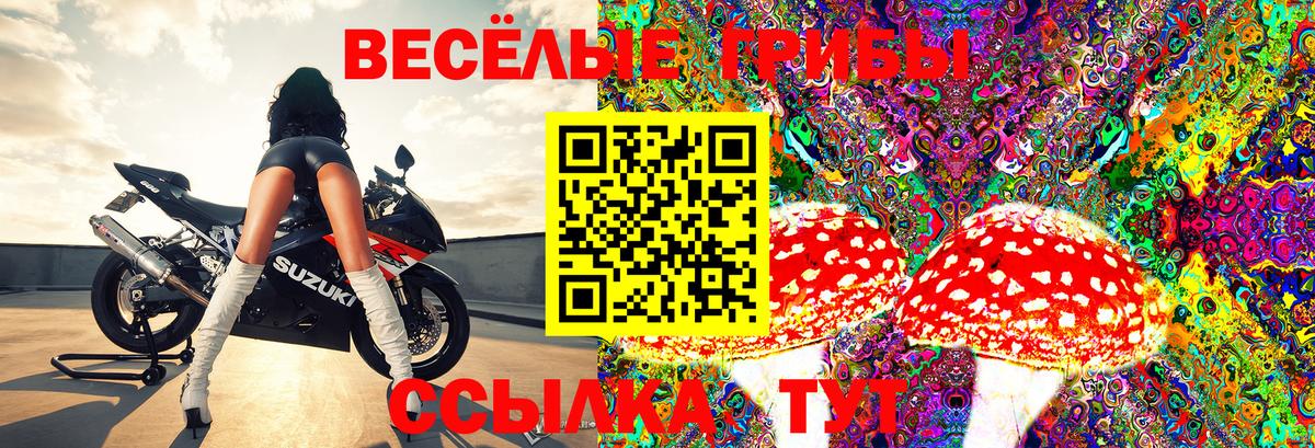 Псилоцибиновые грибы мицелий Новочеркасск